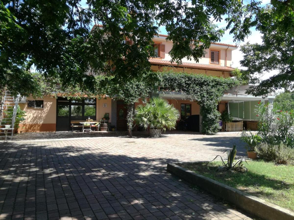 Guesthouse Skofije Ob Parenzani Spodnje Skofije Dış mekan fotoğraf