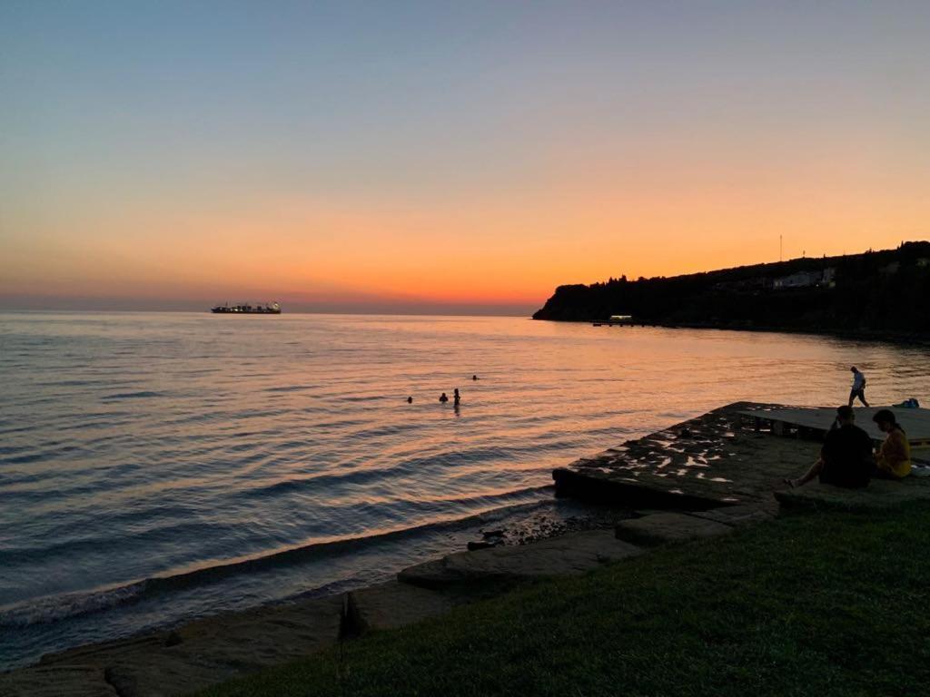 Guesthouse Skofije Ob Parenzani Spodnje Skofije Dış mekan fotoğraf